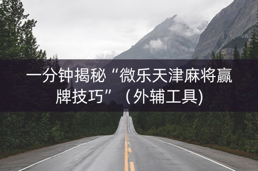 一分钟揭秘“微乐天津麻将赢牌技巧”（外辅工具)