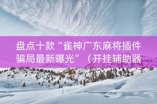 盘点十款“雀神广东麻将插件骗局最新曝光”（开挂辅助器插件)