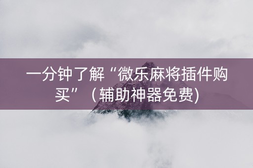 一分钟了解“微乐麻将插件购买”（辅助神器免费)