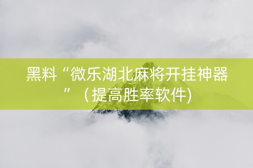 黑料“微乐湖北麻将开挂神器”（提高胜率软件)