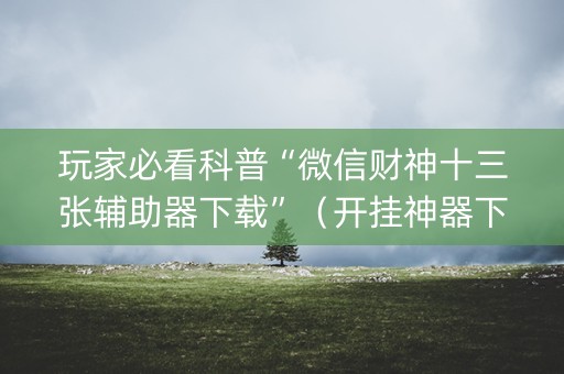 玩家必看科普“微信财神十三张辅助器下载”（开挂神器下载)