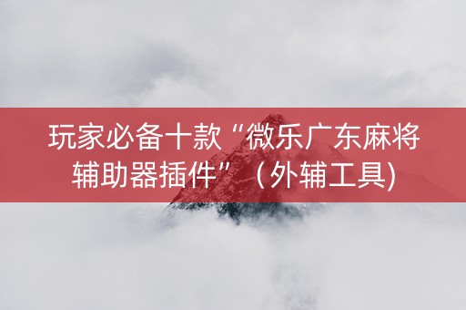 玩家必备十款“微乐广东麻将辅助器插件”（外辅工具)