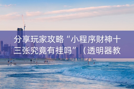 分享玩家攻略“小程序财神十三张究竟有挂吗”（透明器教程)