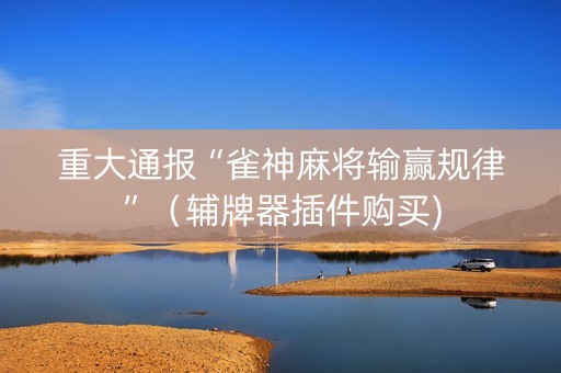 重大通报“雀神麻将输赢规律”（辅牌器插件购买)