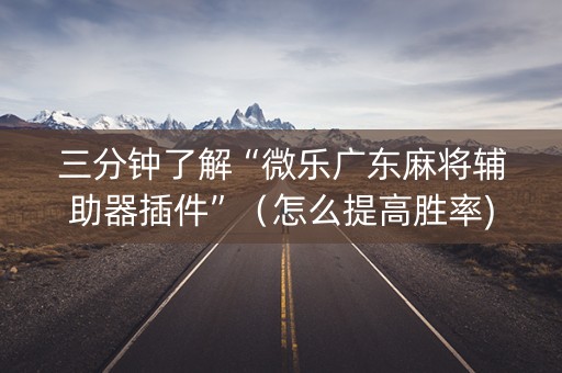 三分钟了解“微乐广东麻将辅助器插件”（怎么提高胜率)