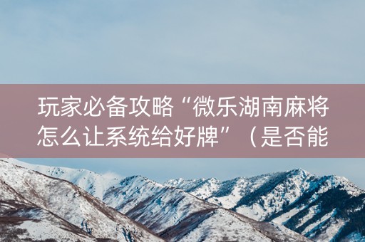 玩家必备攻略“微乐湖南麻将怎么让系统给好牌”（是否能开挂)