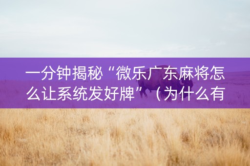 一分钟揭秘“微乐广东麻将怎么让系统发好牌”（为什么有人一直赢)