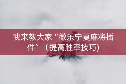 我来教大家“微乐宁夏麻将插件”（提高胜率技巧)