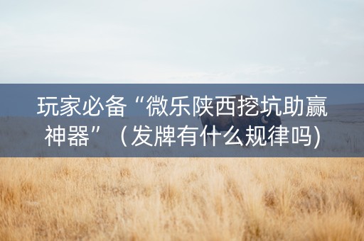 玩家必备“微乐陕西挖坑助赢神器”（发牌有什么规律吗)