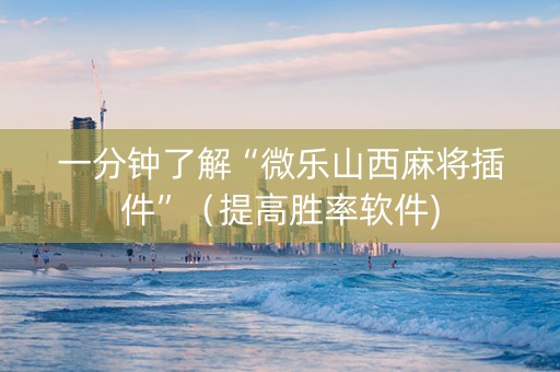 一分钟了解“微乐山西麻将插件”（提高胜率软件)