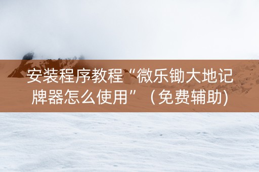 安装程序教程“微乐锄大地记牌器怎么使用”（免费辅助)