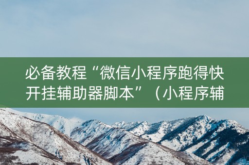 必备教程“微信小程序跑得快开挂辅助器脚本”（小程序辅助软件)