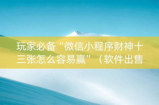 玩家必备“微信小程序财神十三张怎么容易赢”（软件出售)