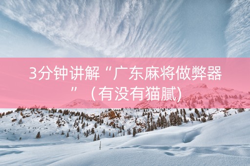 3分钟讲解“广东麻将做弊器”（有没有猫腻)