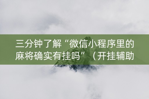 三分钟了解“微信小程序里的麻将确实有挂吗”（开挂辅助器脚本)
