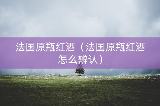 法国原瓶红酒（法国原瓶红酒怎么辨认）