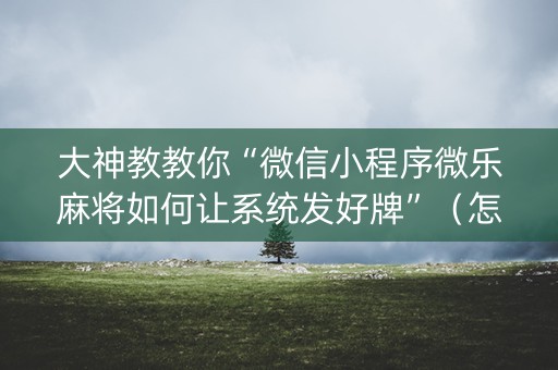 大神教教你“微信小程序微乐麻将如何让系统发好牌”（怎么能调好牌)
