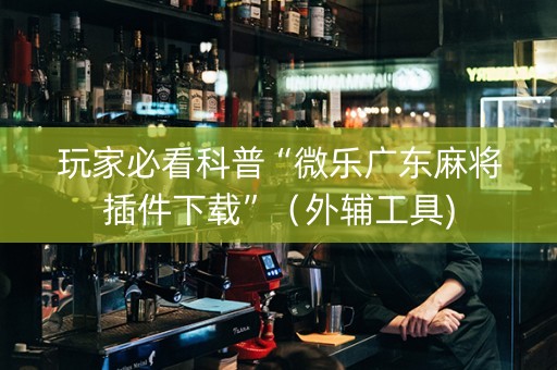 玩家必看科普“微乐广东麻将插件下载”（外辅工具)