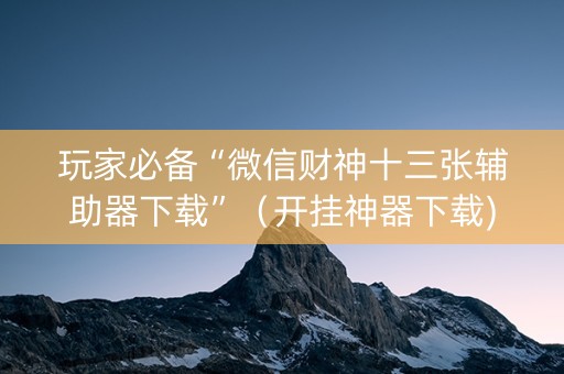 玩家必备“微信财神十三张辅助器下载”（开挂神器下载)