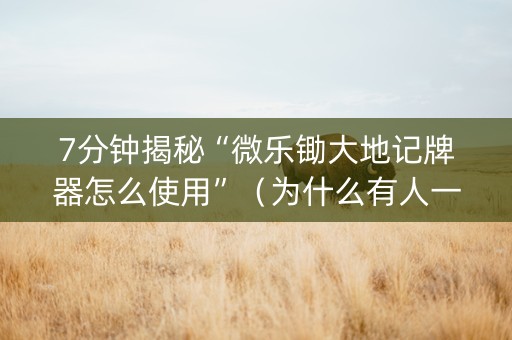 7分钟揭秘“微乐锄大地记牌器怎么使用”（为什么有人一直赢)