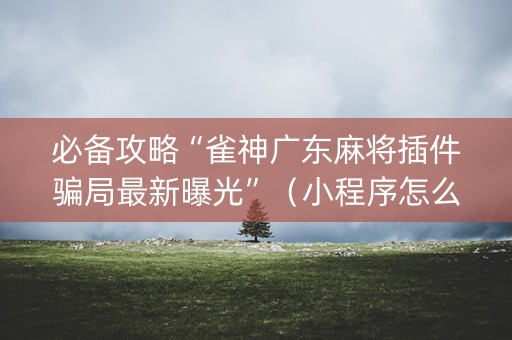 必备攻略“雀神广东麻将插件骗局最新曝光”（小程序怎么才会赢)
