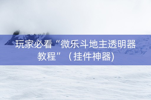 玩家必看“微乐斗地主透明器教程”（挂件神器)