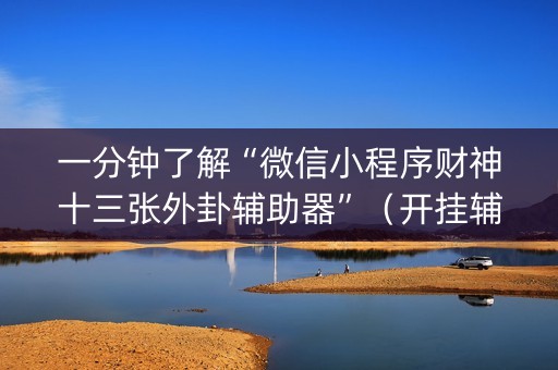 一分钟了解“微信小程序财神十三张外卦辅助器”（开挂辅助脚本)