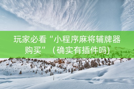 玩家必看“小程序麻将辅牌器购买”（确实有插件吗)