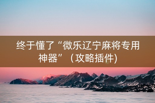 终于懂了“微乐辽宁麻将专用神器”（攻略插件)
