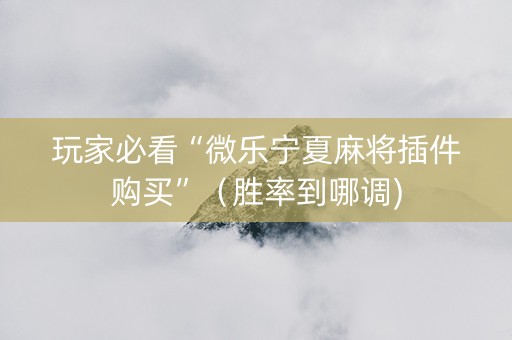 玩家必看“微乐宁夏麻将插件购买”（胜率到哪调)