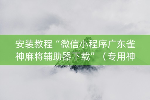 安装教程“微信小程序广东雀神麻将辅助器下载”（专用神器)