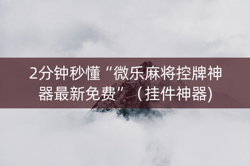 2分钟秒懂“微乐麻将控牌神器最新免费”（挂件神器)