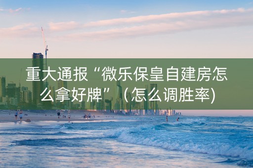 重大通报“微乐保皇自建房怎么拿好牌”（怎么调胜率)