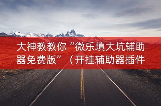 大神教教你“微乐填大坑辅助器免费版”（开挂辅助器插件)