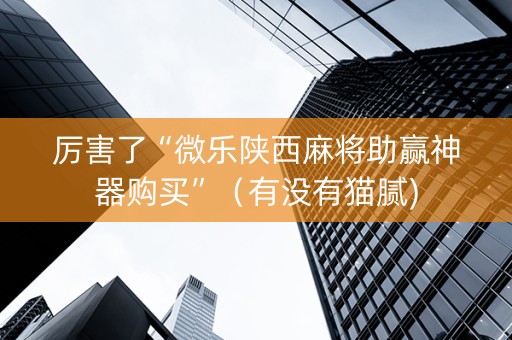 厉害了“微乐陕西麻将助赢神器购买”（有没有猫腻)