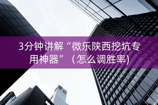 3分钟讲解“微乐陕西挖坑专用神器”（怎么调胜率)