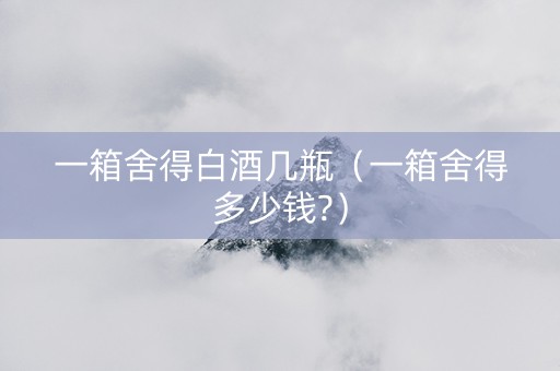 一箱舍得白酒几瓶（一箱舍得多少钱?）