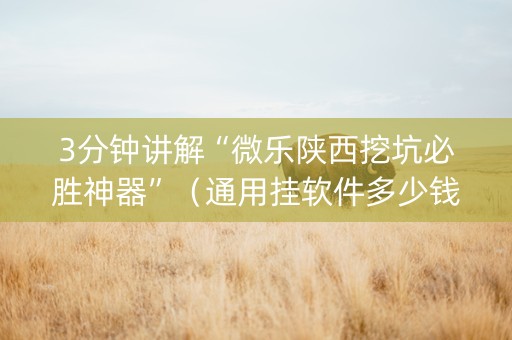 3分钟讲解“微乐陕西挖坑必胜神器”（通用挂软件多少钱)