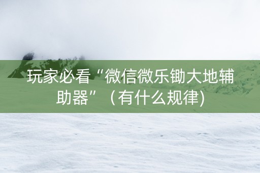 玩家必看“微信微乐锄大地辅助器”（有什么规律)