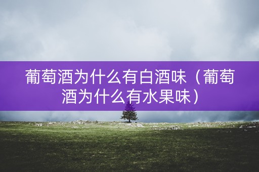 葡萄酒为什么有白酒味（葡萄酒为什么有水果味）