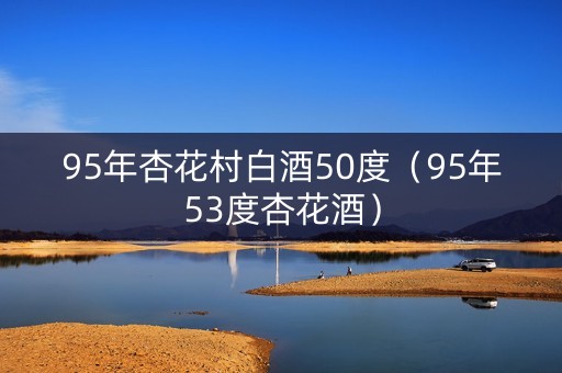 95年杏花村白酒50度（95年53度杏花酒）