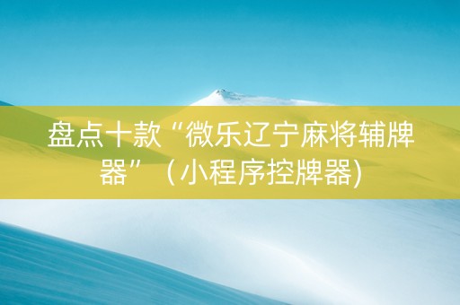 盘点十款“微乐辽宁麻将辅牌器”（小程序控牌器)