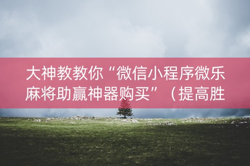 大神教教你“微信小程序微乐麻将助赢神器购买”（提高胜率软件)
