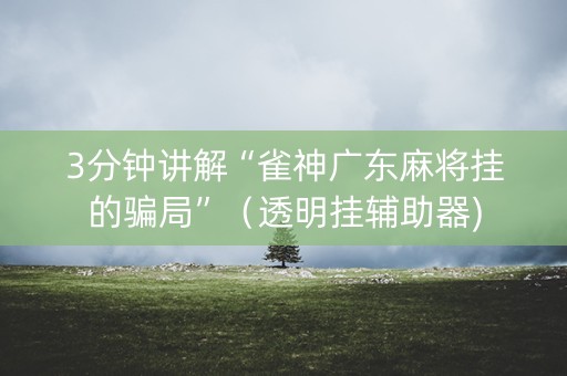 3分钟讲解“雀神广东麻将挂的骗局”（透明挂辅助器)