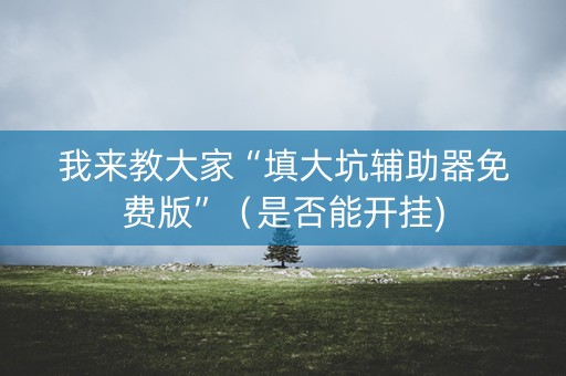 我来教大家“填大坑辅助器免费版”（是否能开挂)