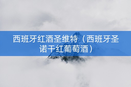 西班牙红酒圣维特（西班牙圣诺干红葡萄酒）
