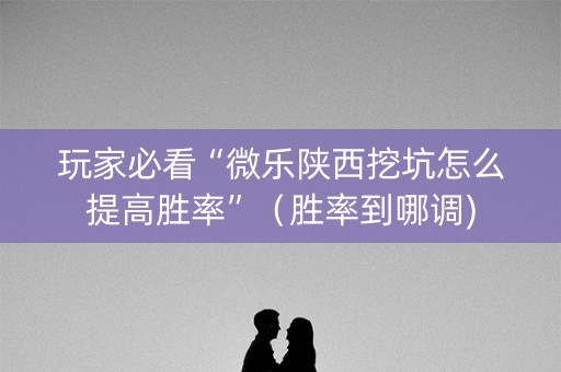 玩家必看“微乐陕西挖坑怎么提高胜率”（胜率到哪调)