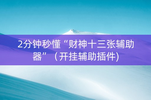 2分钟秒懂“财神十三张辅助器”（开挂辅助插件)