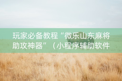 玩家必备教程“微乐山东麻将助攻神器”（小程序辅助软件)