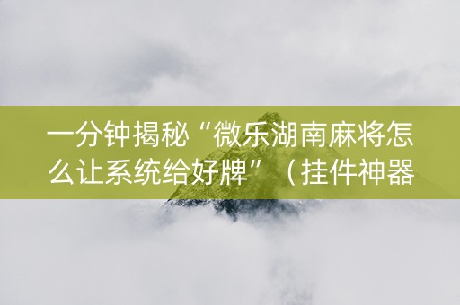 一分钟揭秘“微乐湖南麻将怎么让系统给好牌”（挂件神器)